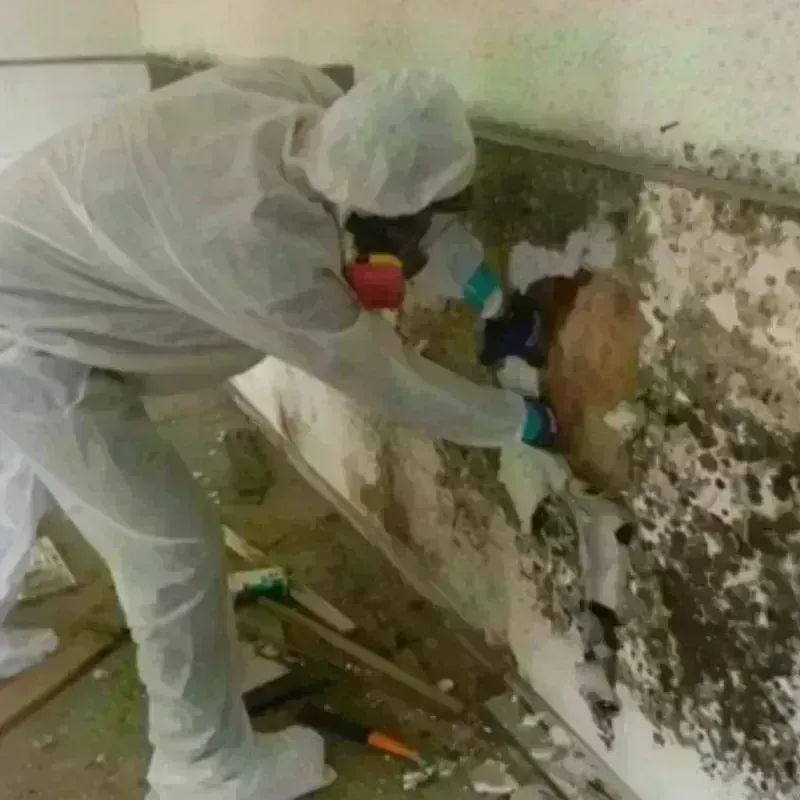 Mold Remediation and Removal in Meeker, OK