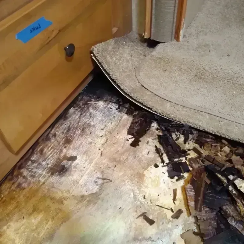 Best Wood Floor Water Damage Service in Meeker, OK